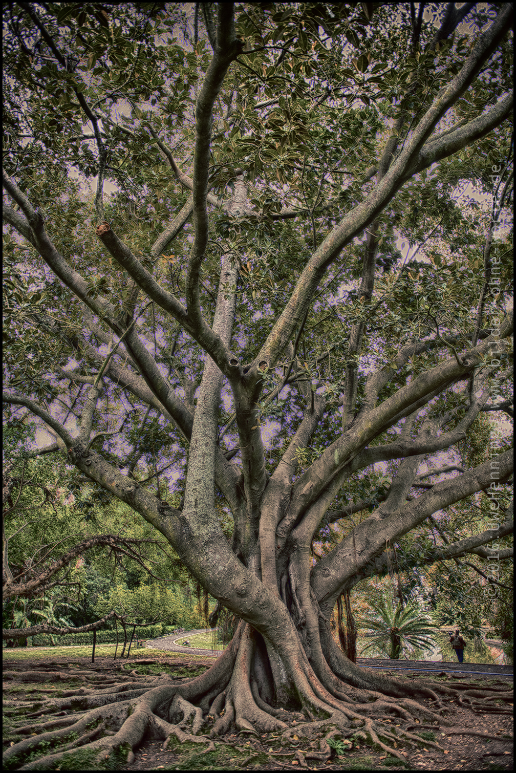 2013 12 Lissabon 6607 A1kl